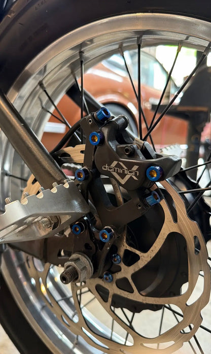 Close-up of a motorcycle wheel with disc brake and 'Dominion' branding.