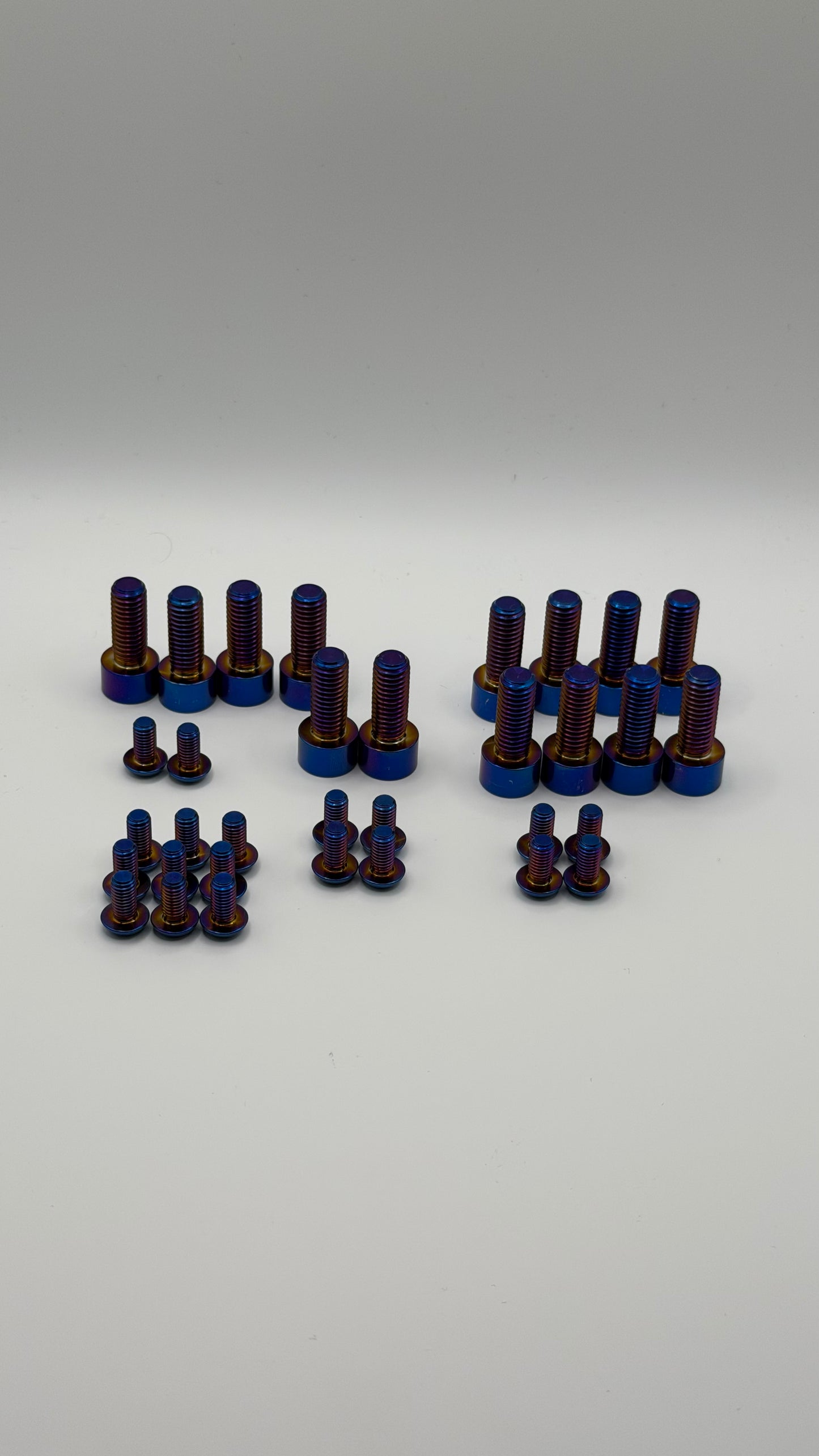 Surron Light Bee/Segway/Falcon/79 Bike Titanium Bolt Kit